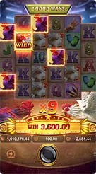 merkur24 · Rooster Rbl